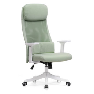 Компьютерное кресло Salta light green / white