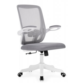 Компьютерное кресло Salem gray / white