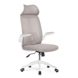 Компьютерное кресло Lokus light gray